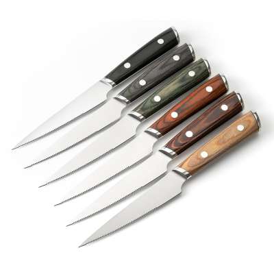 6pcs different handles  stainless steel  steak knife set with serration blade